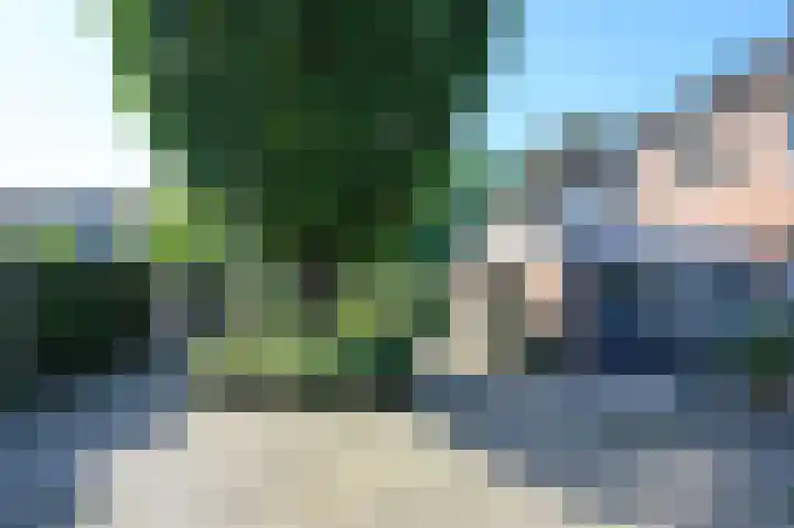 Havikstraat 30 Brummen thumbnail 23