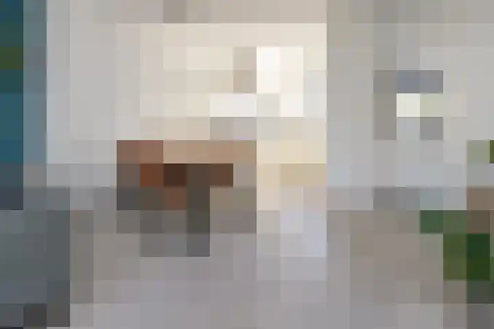 Havikstraat 30 Brummen thumbnail 5