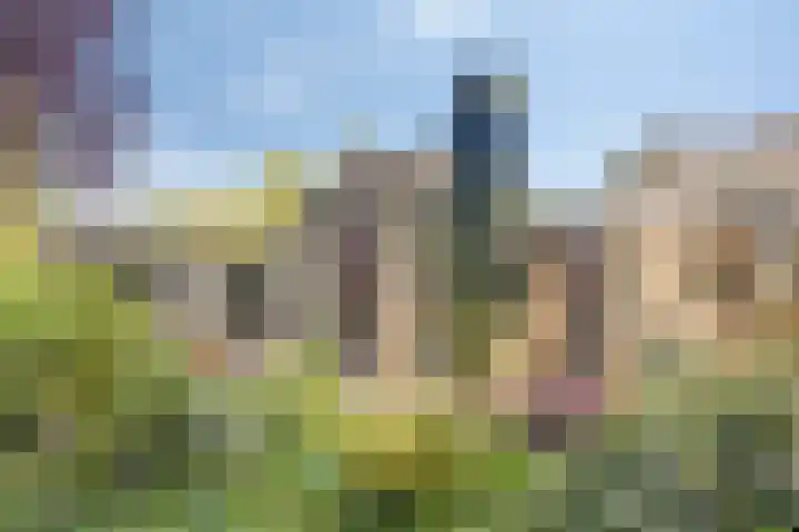 Havikstraat 31 Gennep thumbnail 36