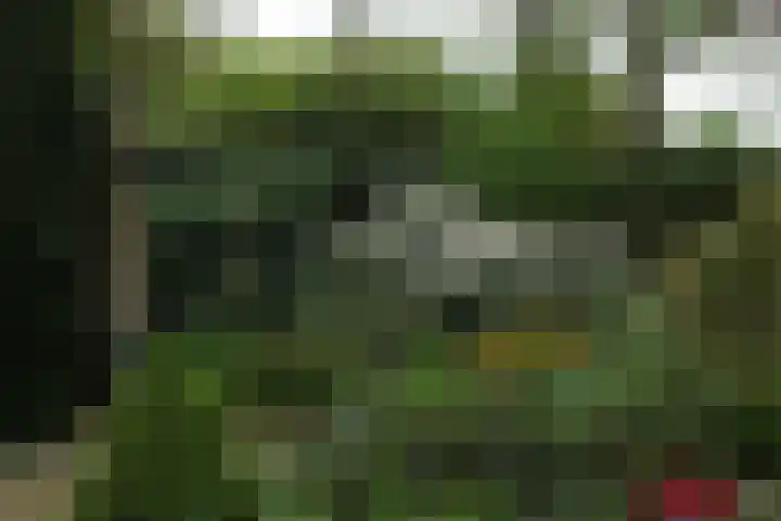 Havikstraat 31 Gennep thumbnail 39
