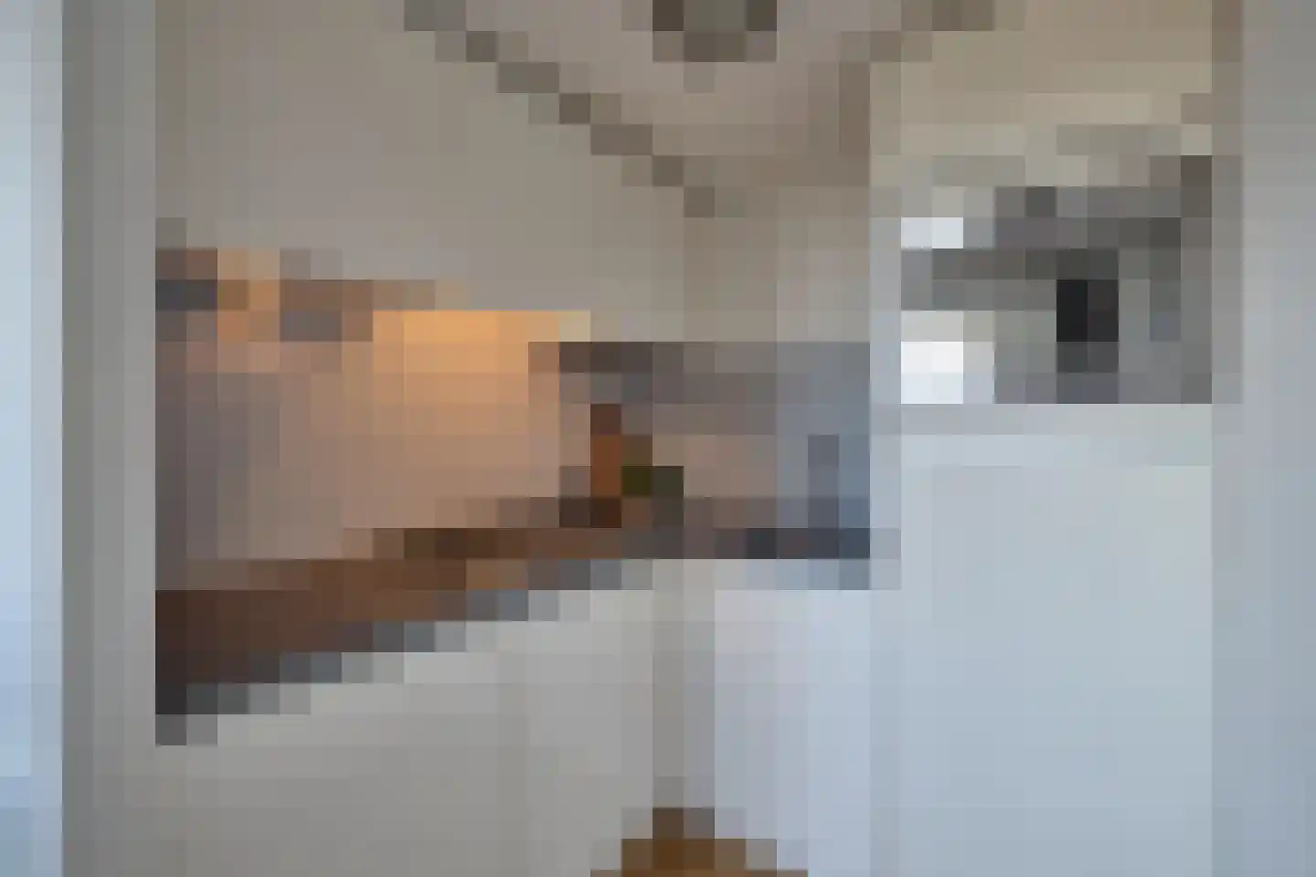 Havikstraat 45 G Utrecht thumbnail 10