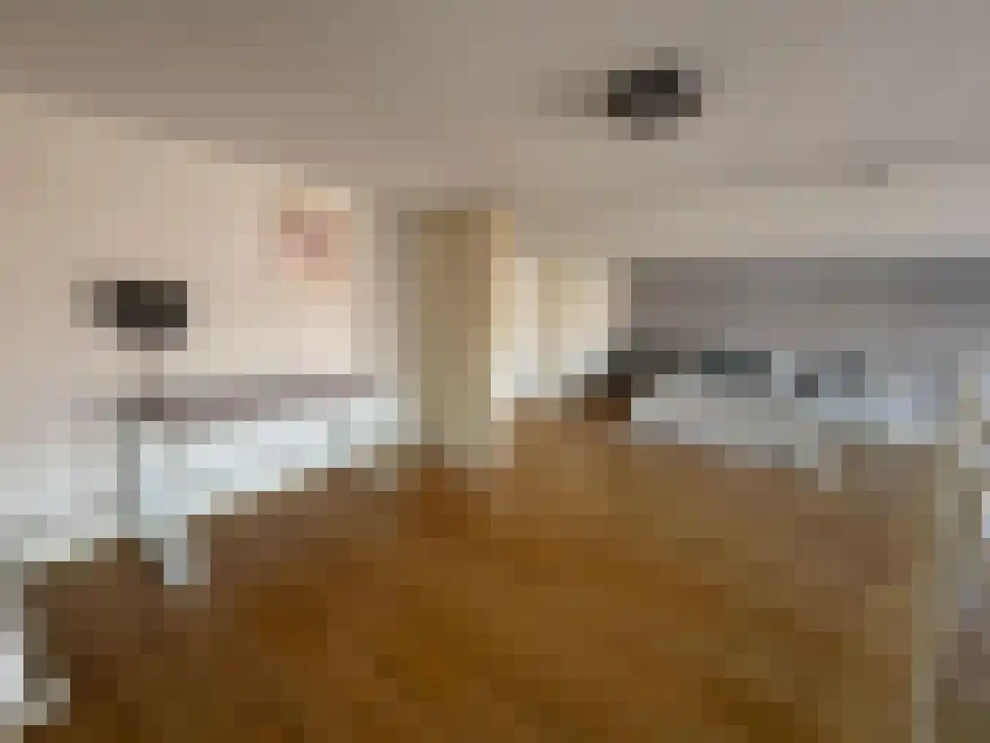 Havikstraat 45 G Utrecht thumbnail 15