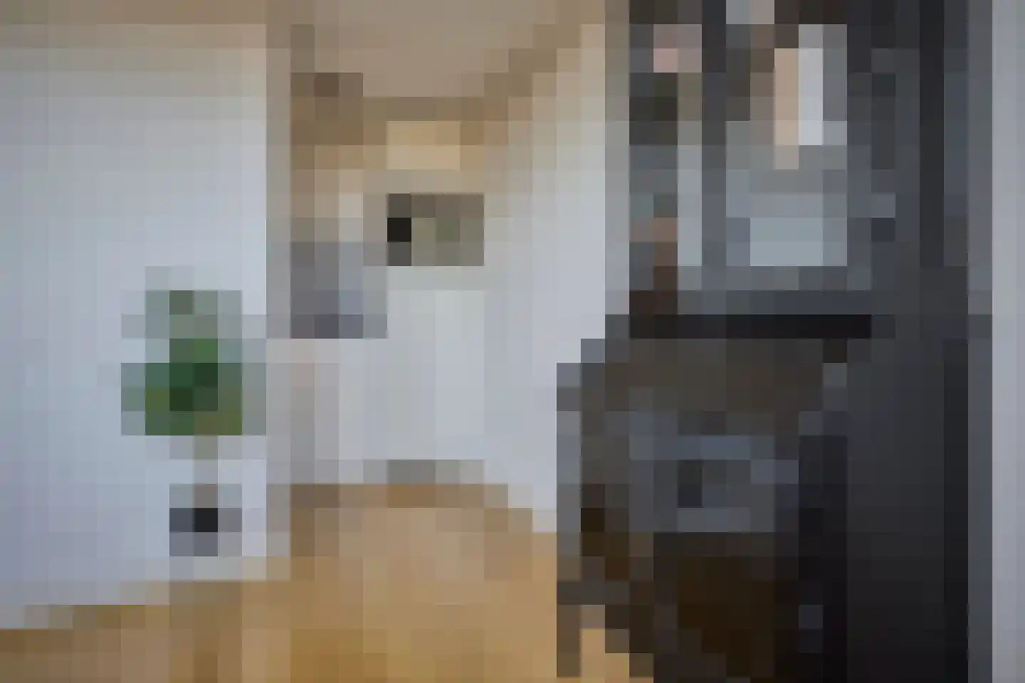 Havikstraat 45 G Utrecht thumbnail 8