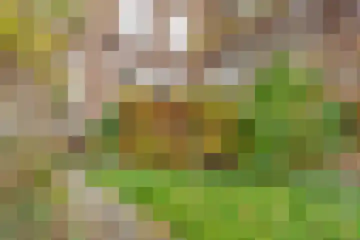 Havikstraat 45 K Utrecht thumbnail 34