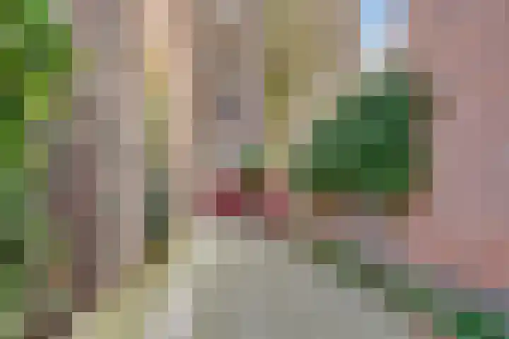 Havikstraat 45 K Utrecht thumbnail 5