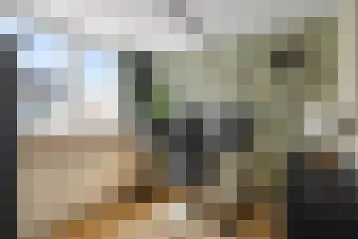 Havikstraat 5 Den Helder thumbnail 17