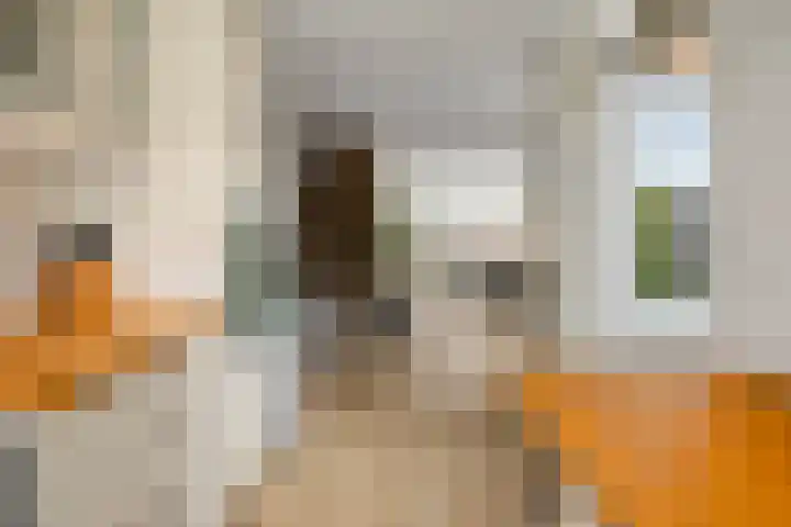 Havikstraat 5 Den Helder thumbnail 8