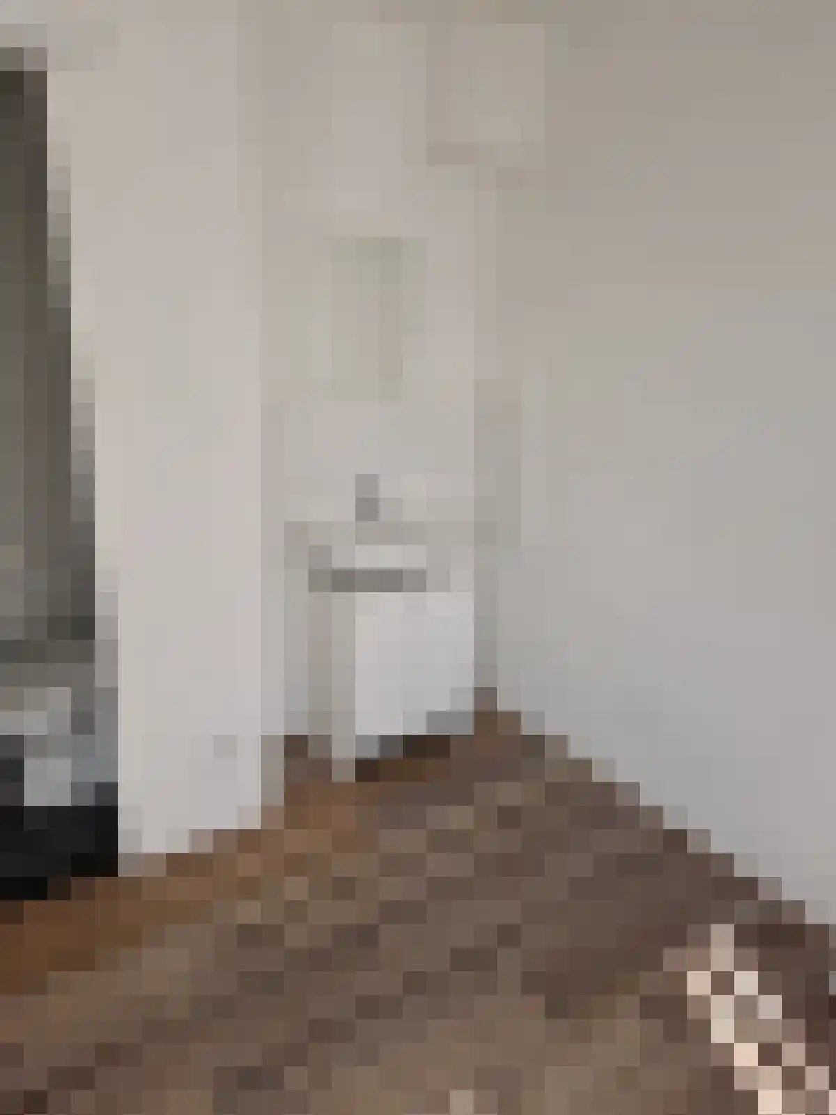 Havikstraat 54 4 Oss thumbnail 6