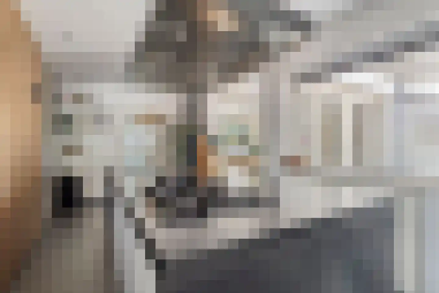 Havikstraat 56 Brummen thumbnail 11