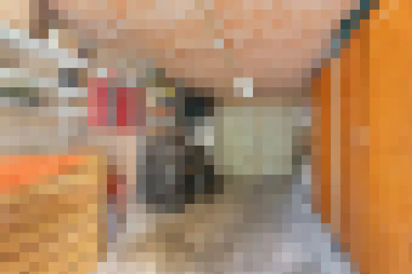Havikstraat 56 Brummen thumbnail 29