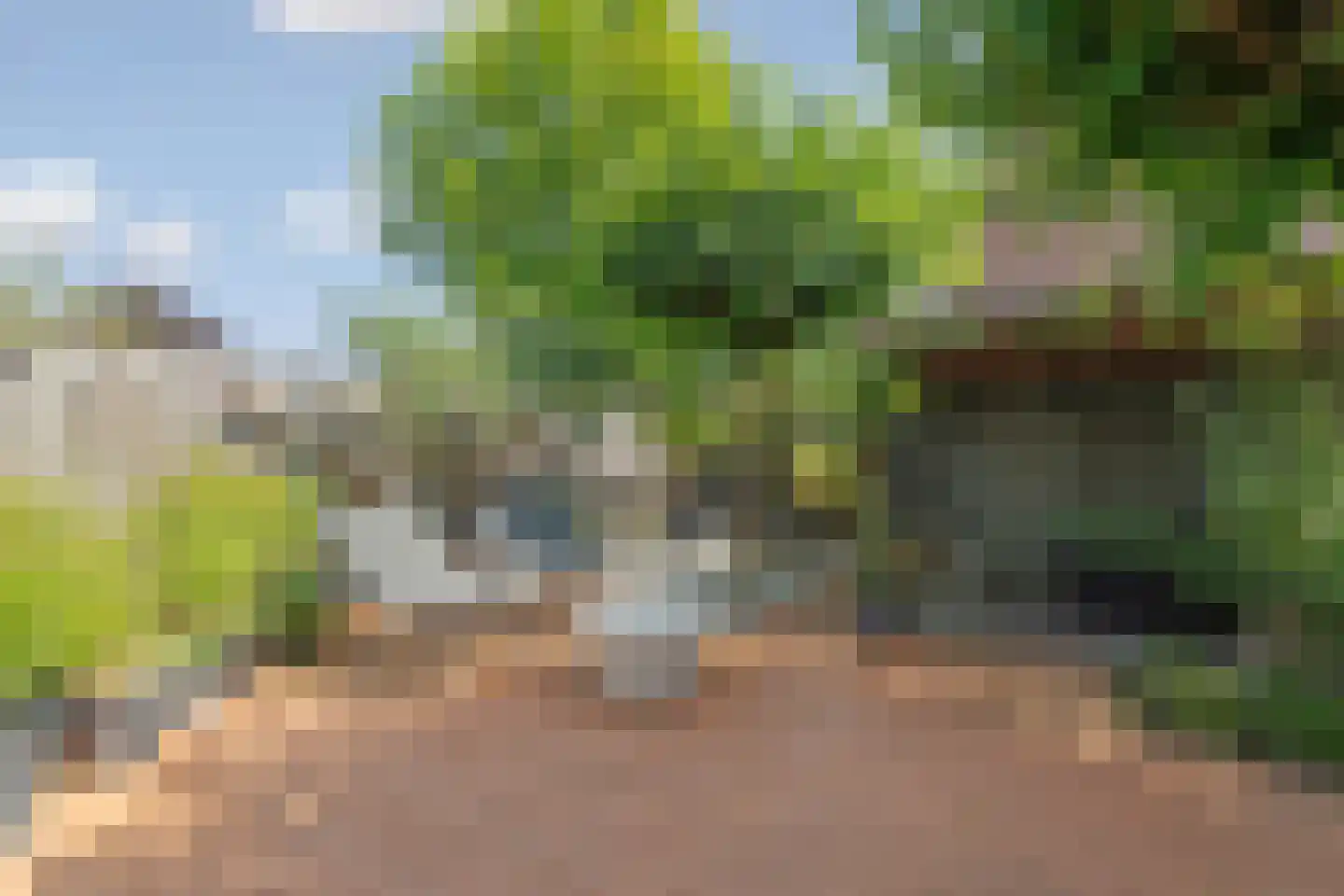 Havikstraat 56 Brummen thumbnail 33