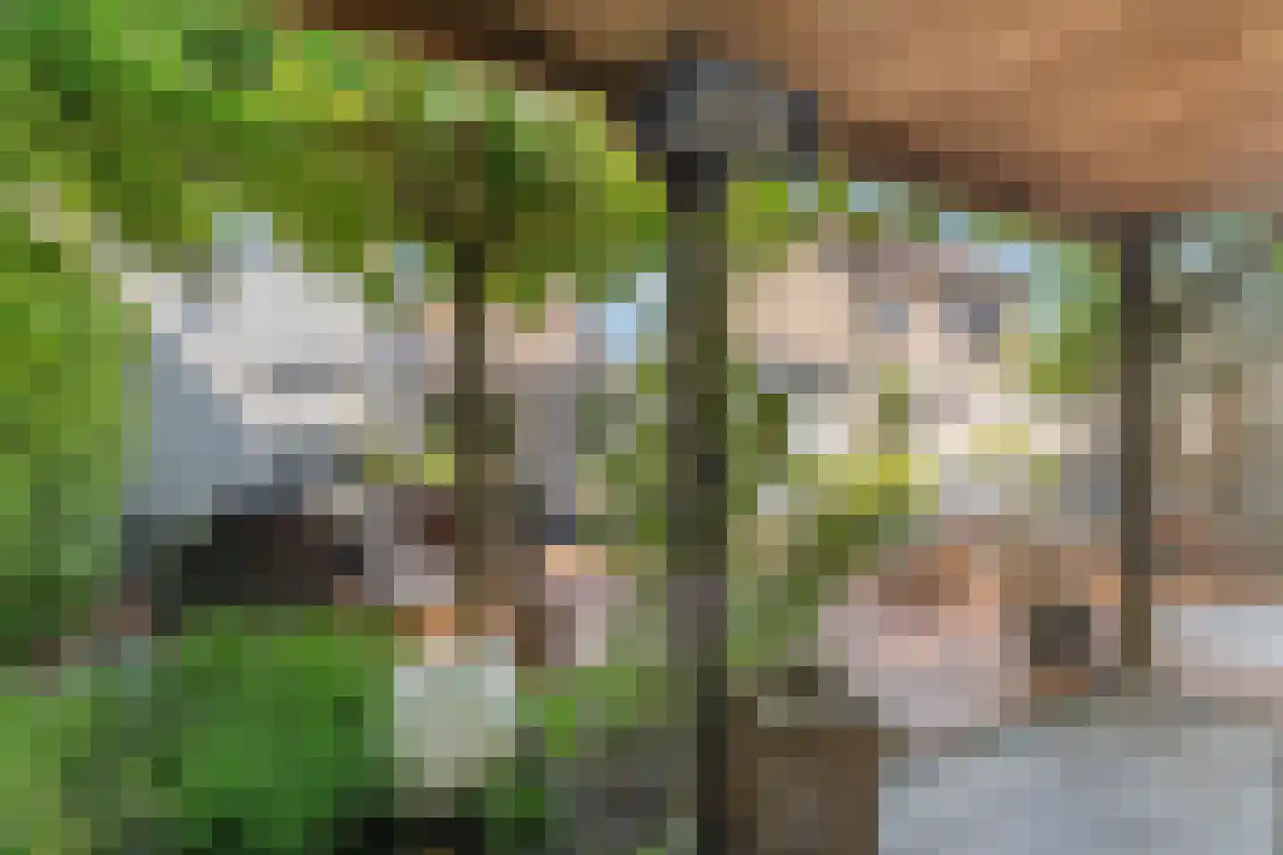 Havikstraat 56 Brummen thumbnail 35