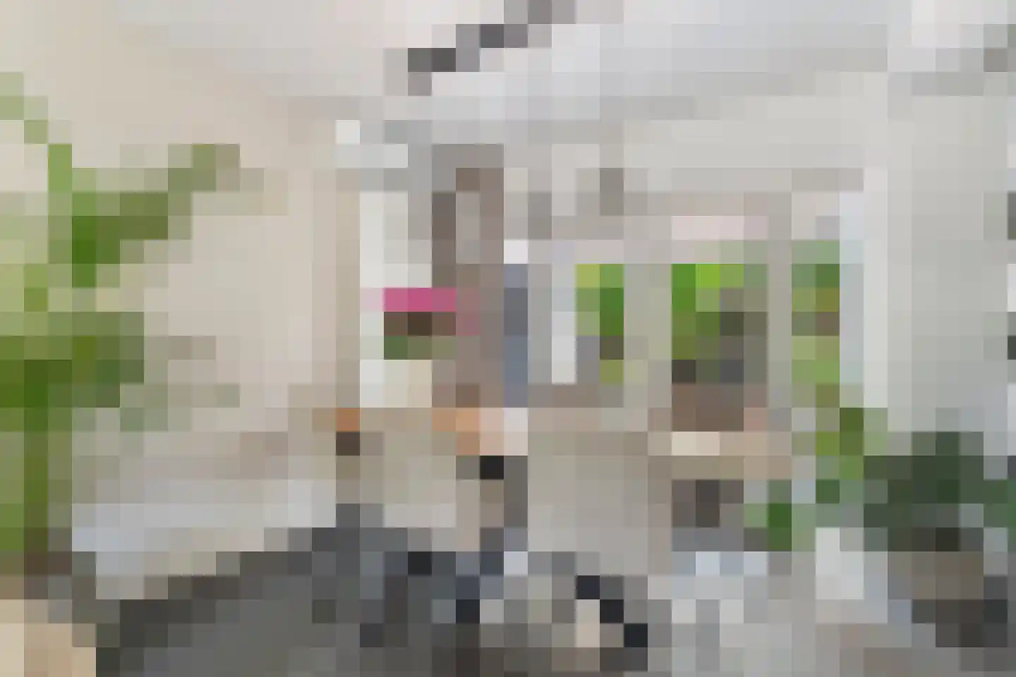 Havikstraat 56 Brummen thumbnail 6