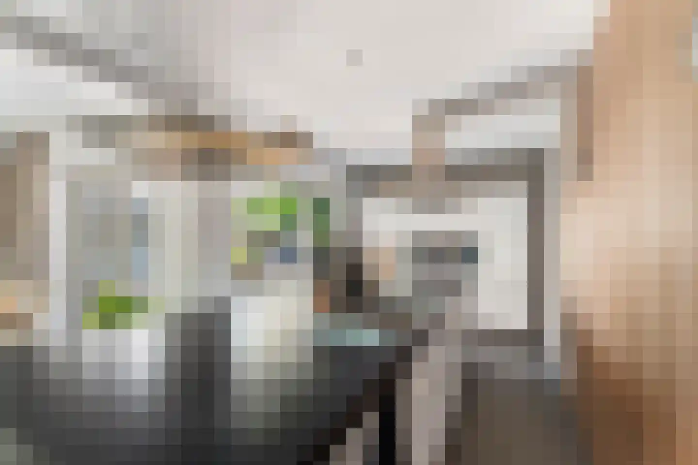 Havikstraat 56 Brummen thumbnail 9