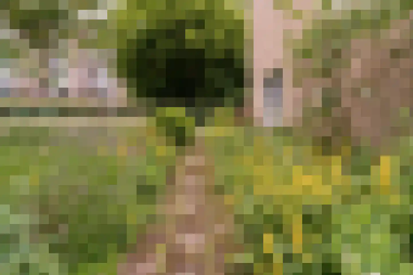 Havikstraat 7 Arnhem thumbnail 11