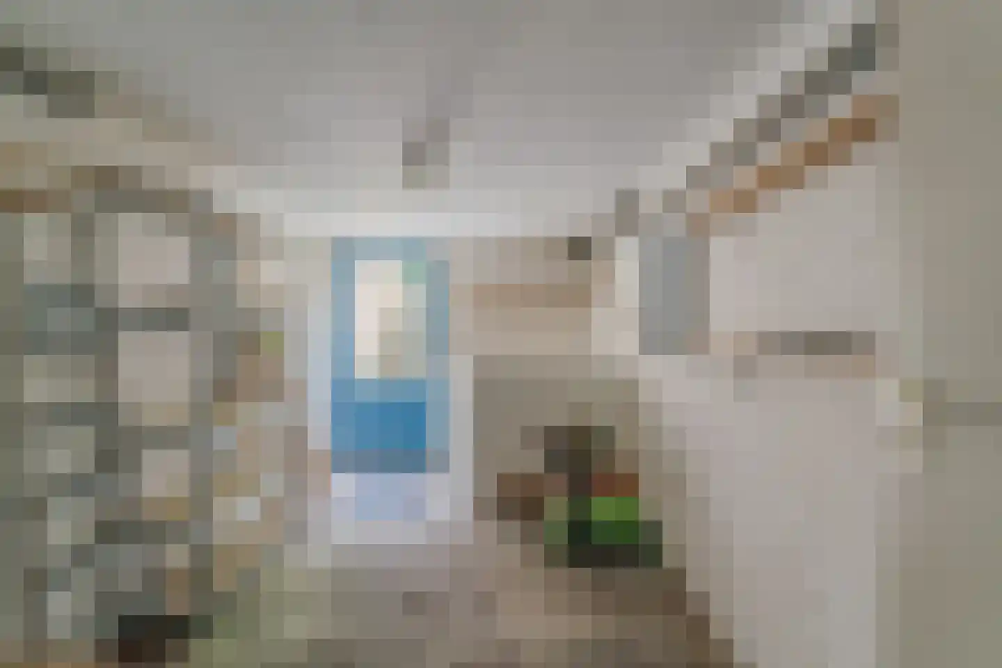 Havikstraat 7 Arnhem thumbnail 29