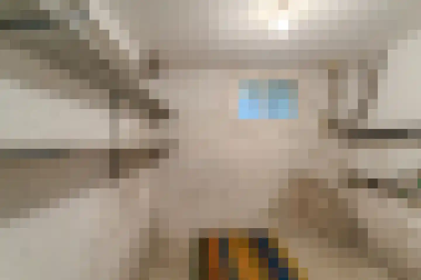 Havikstraat 7 Arnhem thumbnail 31