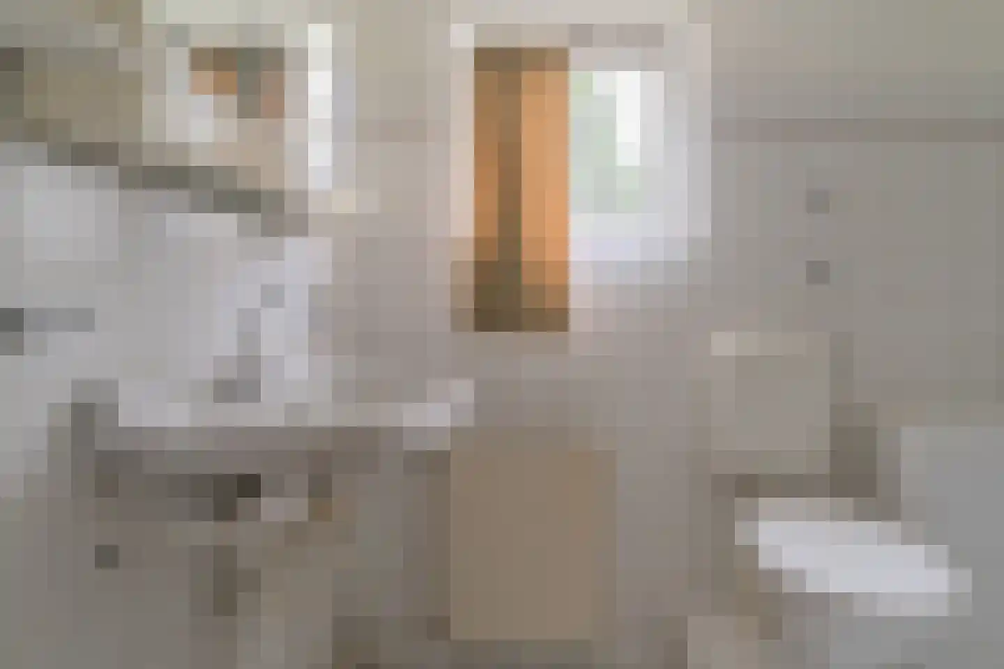 Havikstraat 7 Arnhem thumbnail 59