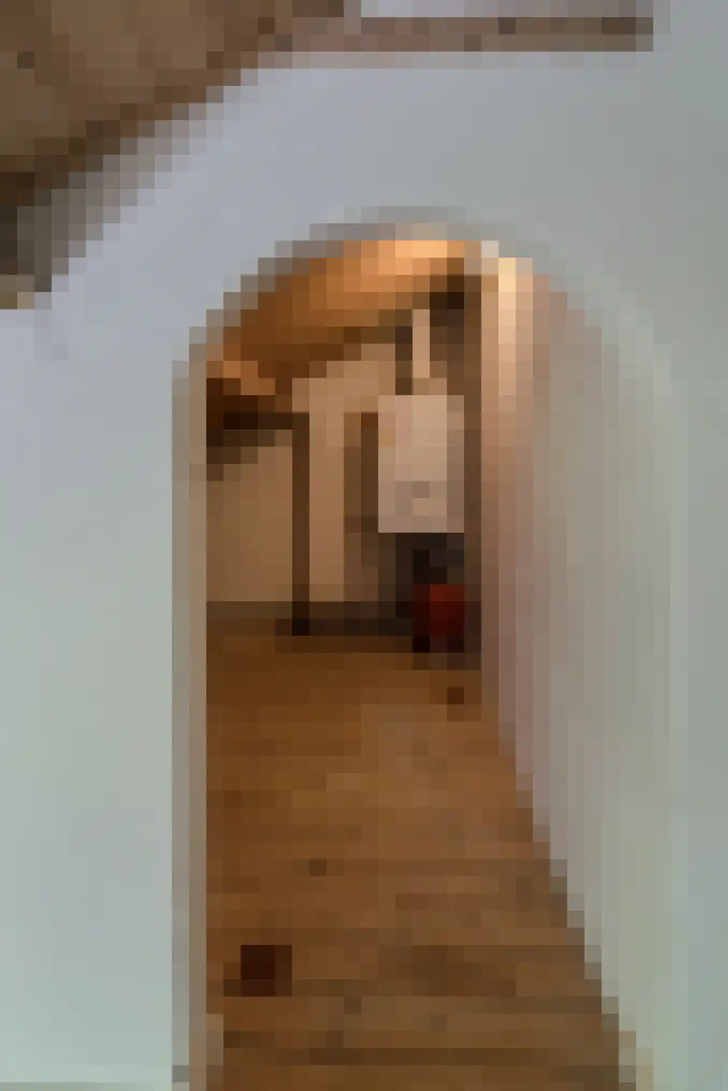 Havikstraat 7 Arnhem thumbnail 63
