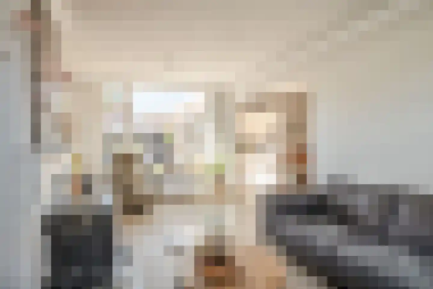 Havikstraat 8 Losser thumbnail 10