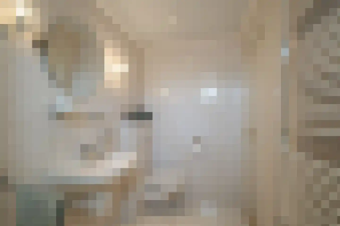 Havikstraat 8 Losser thumbnail 19