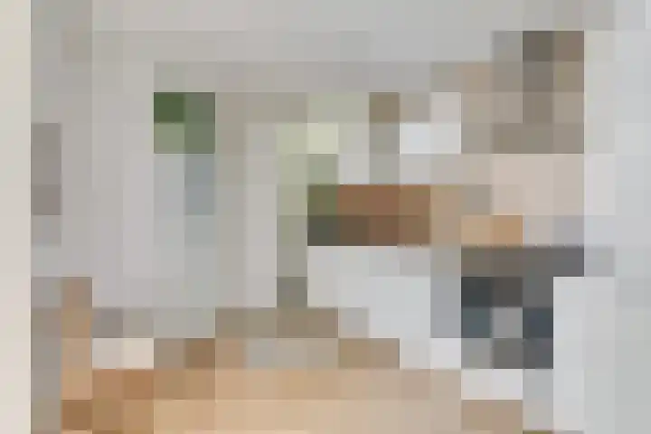 Havikstraat 81 Utrecht thumbnail 8