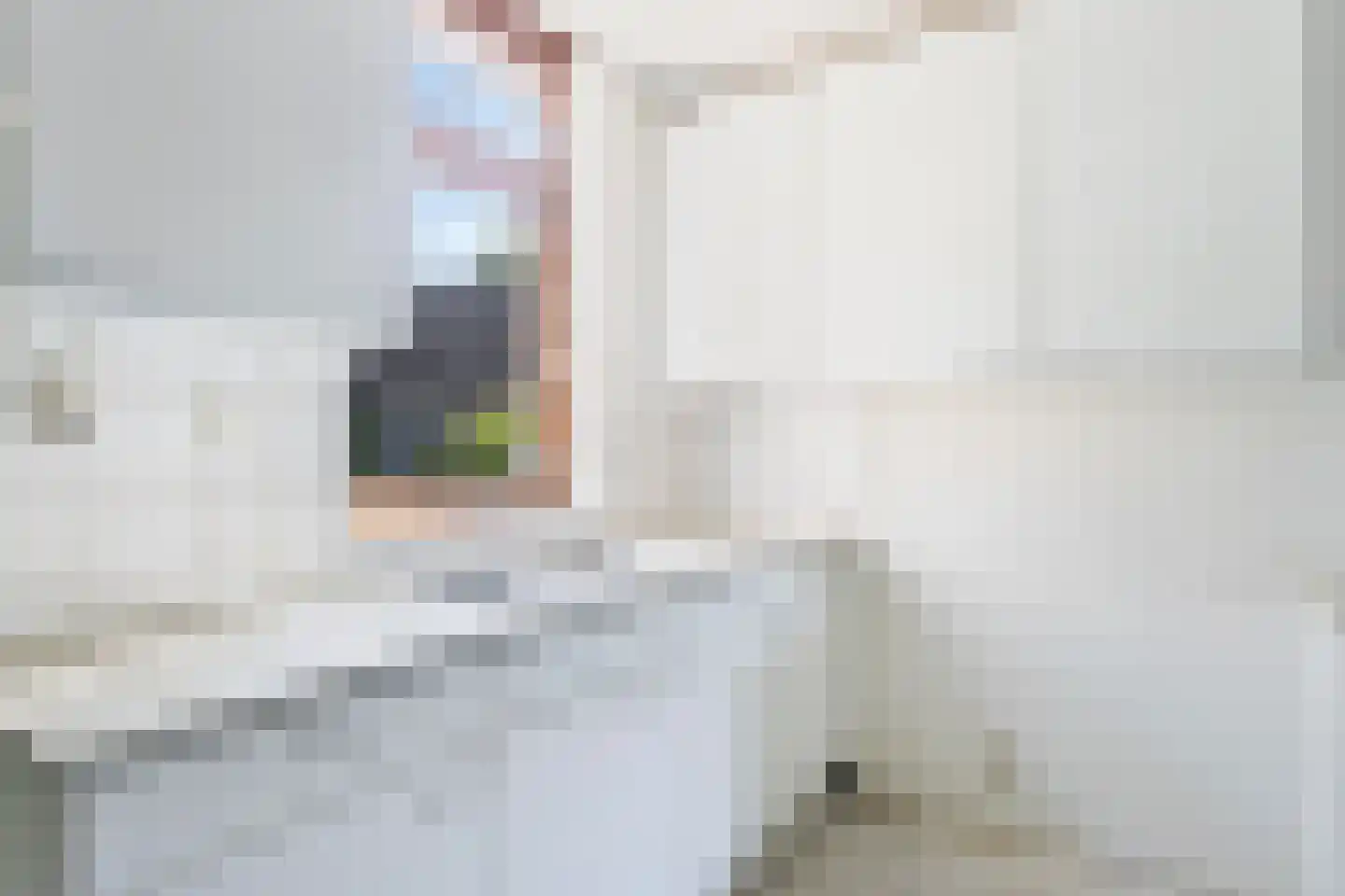 Havikveld 57 Zoetermeer thumbnail 16