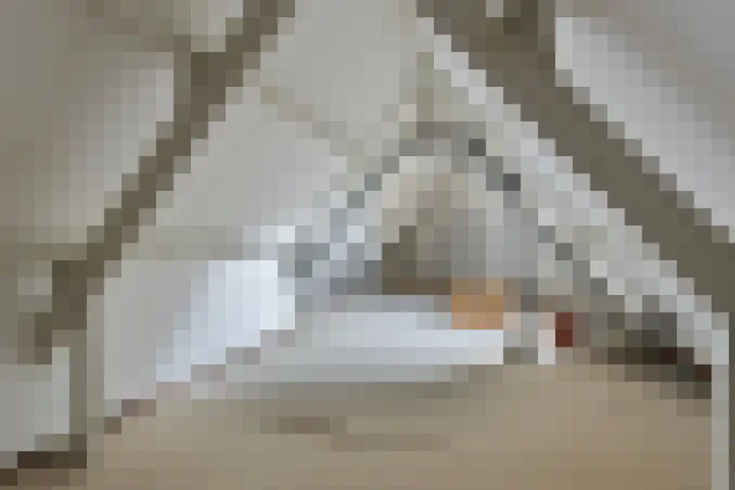 Havikveld 57 Zoetermeer thumbnail 32