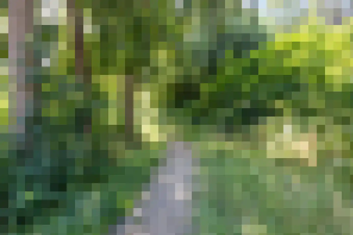 Havikveld 57 Zoetermeer thumbnail 42