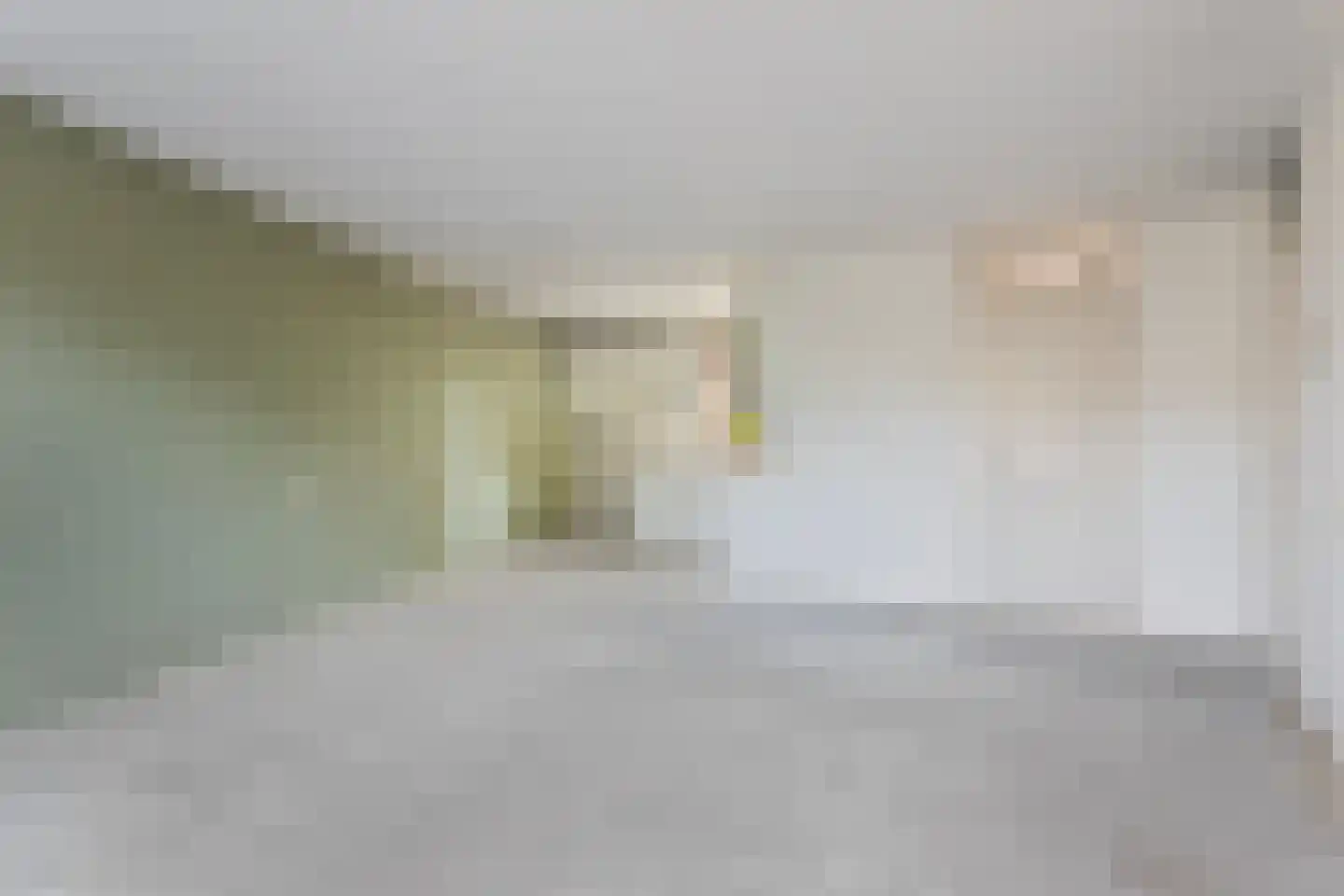 Havikveld 57 Zoetermeer thumbnail 9