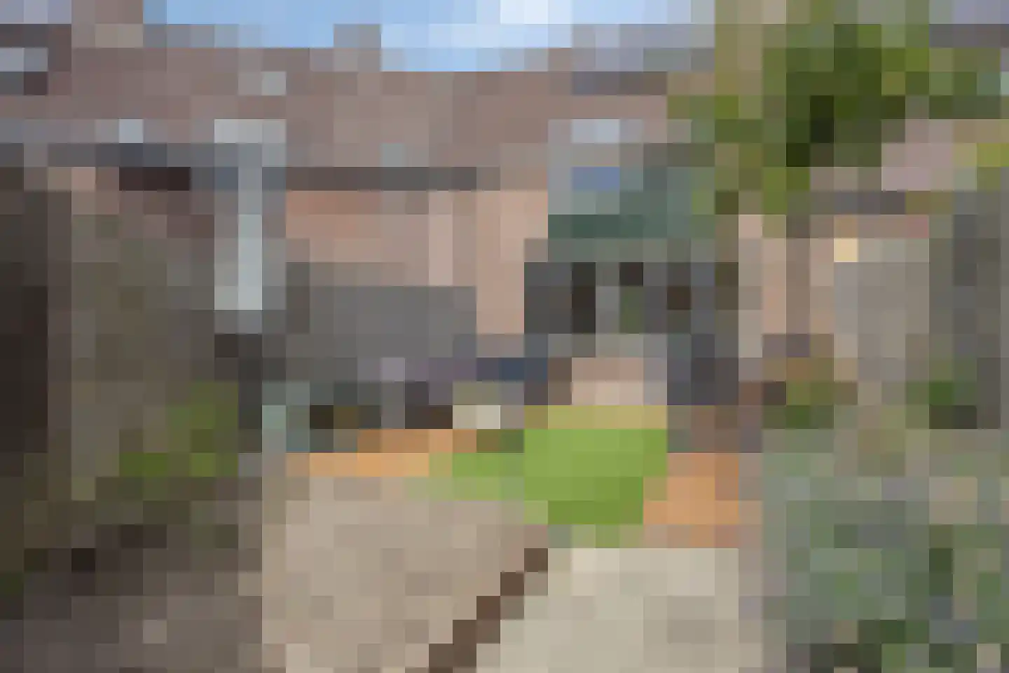 Havikweg 1 Alkmaar thumbnail 16