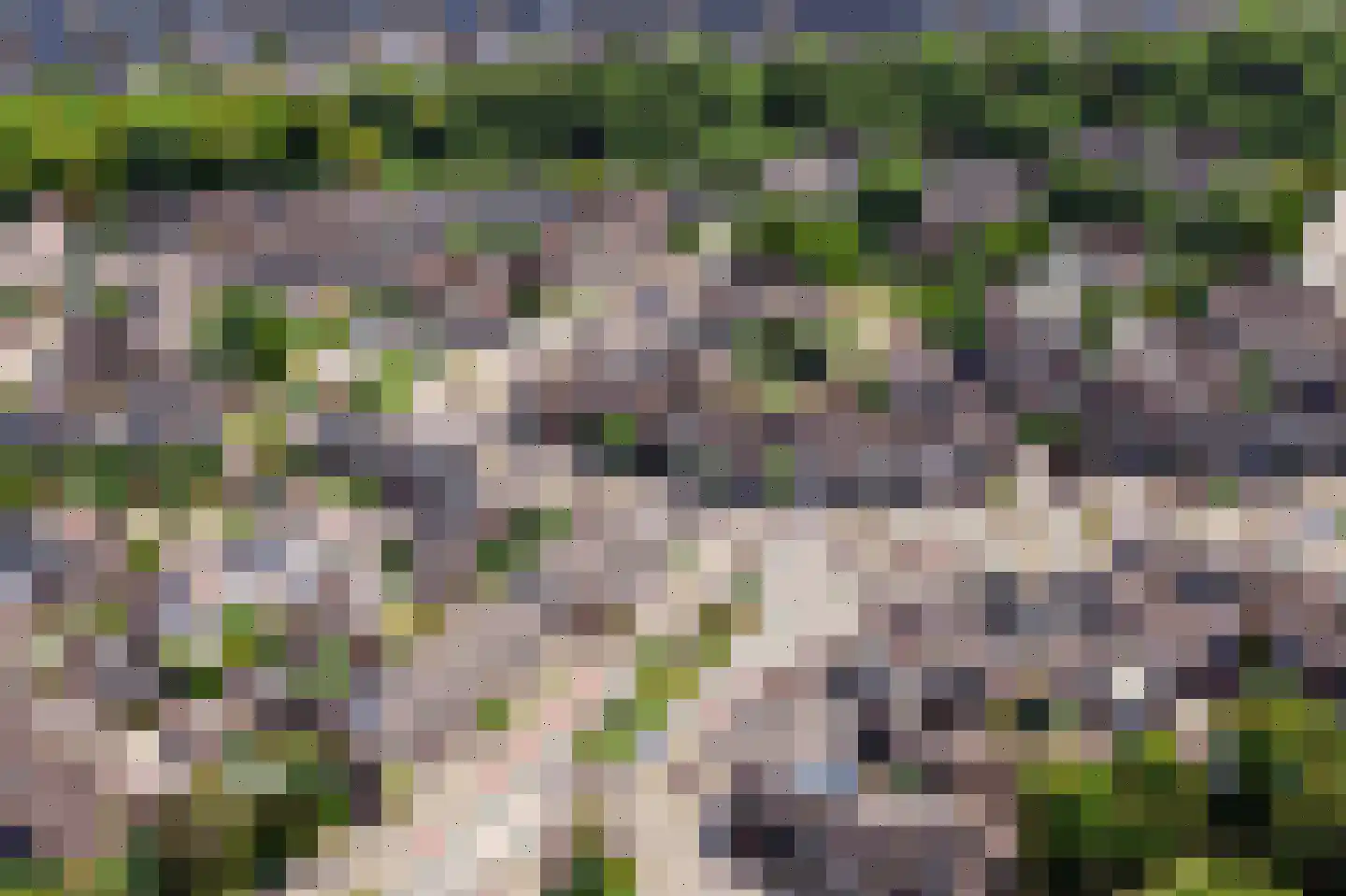 Havikweg 1 Alkmaar thumbnail 5