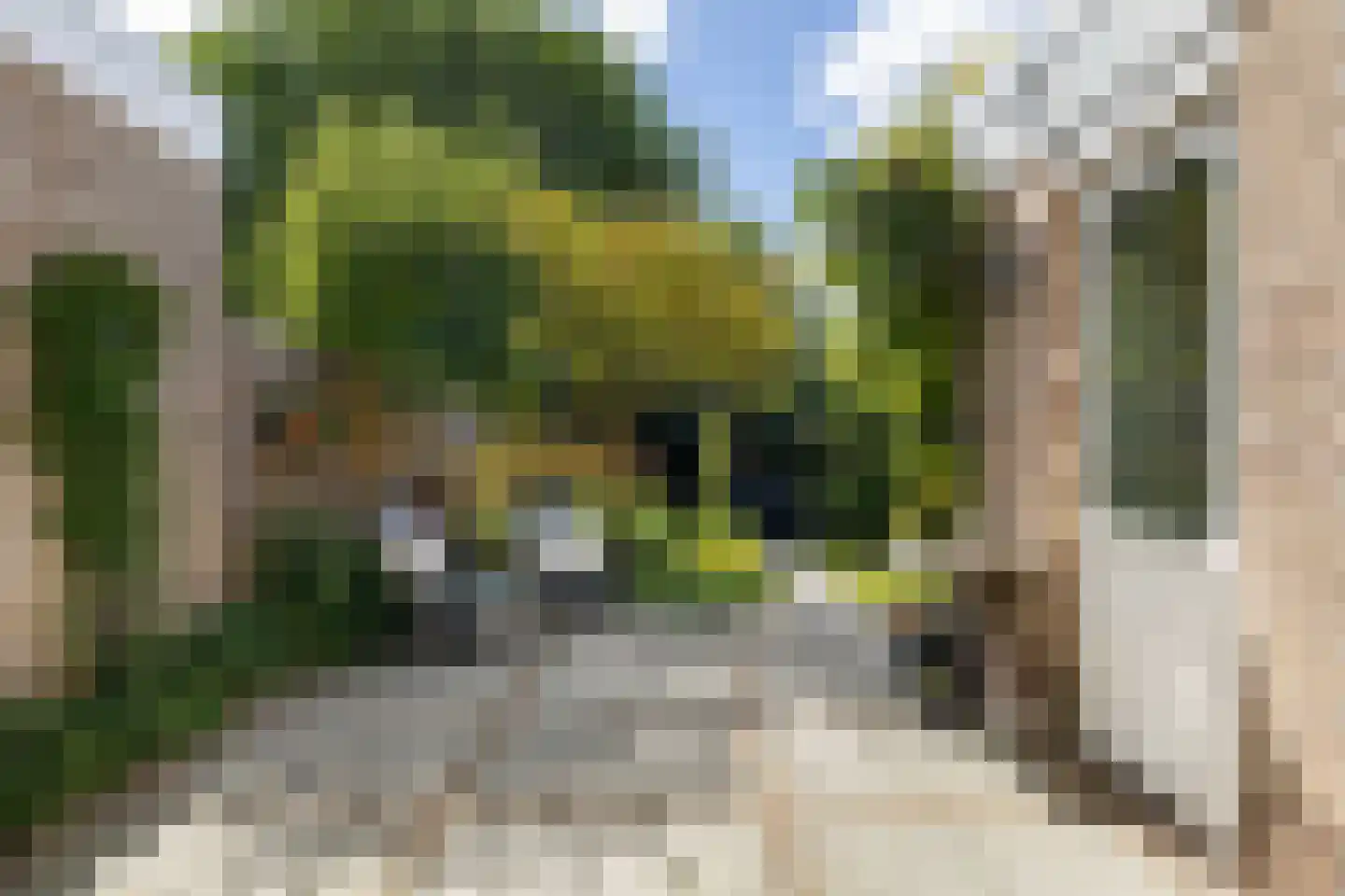 Havingastate 23 Leeuwarden thumbnail 56