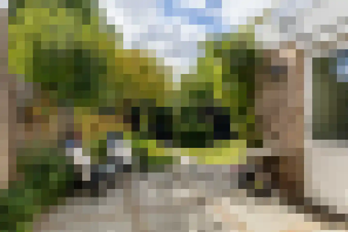 Havingastate 23 Leeuwarden thumbnail 57
