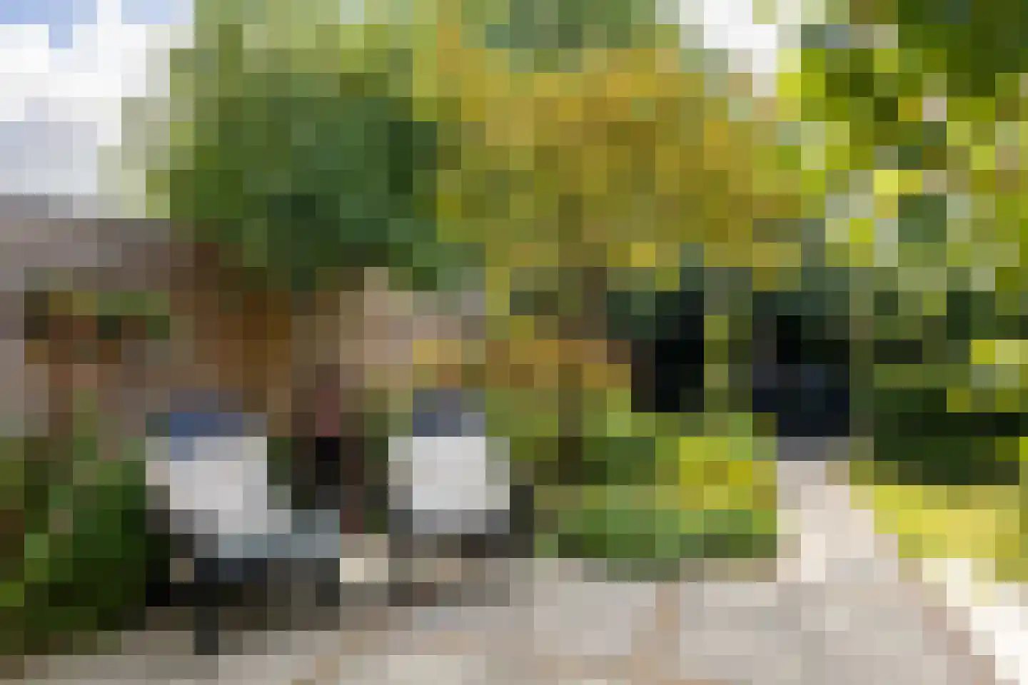 Havingastate 23 Leeuwarden thumbnail 58