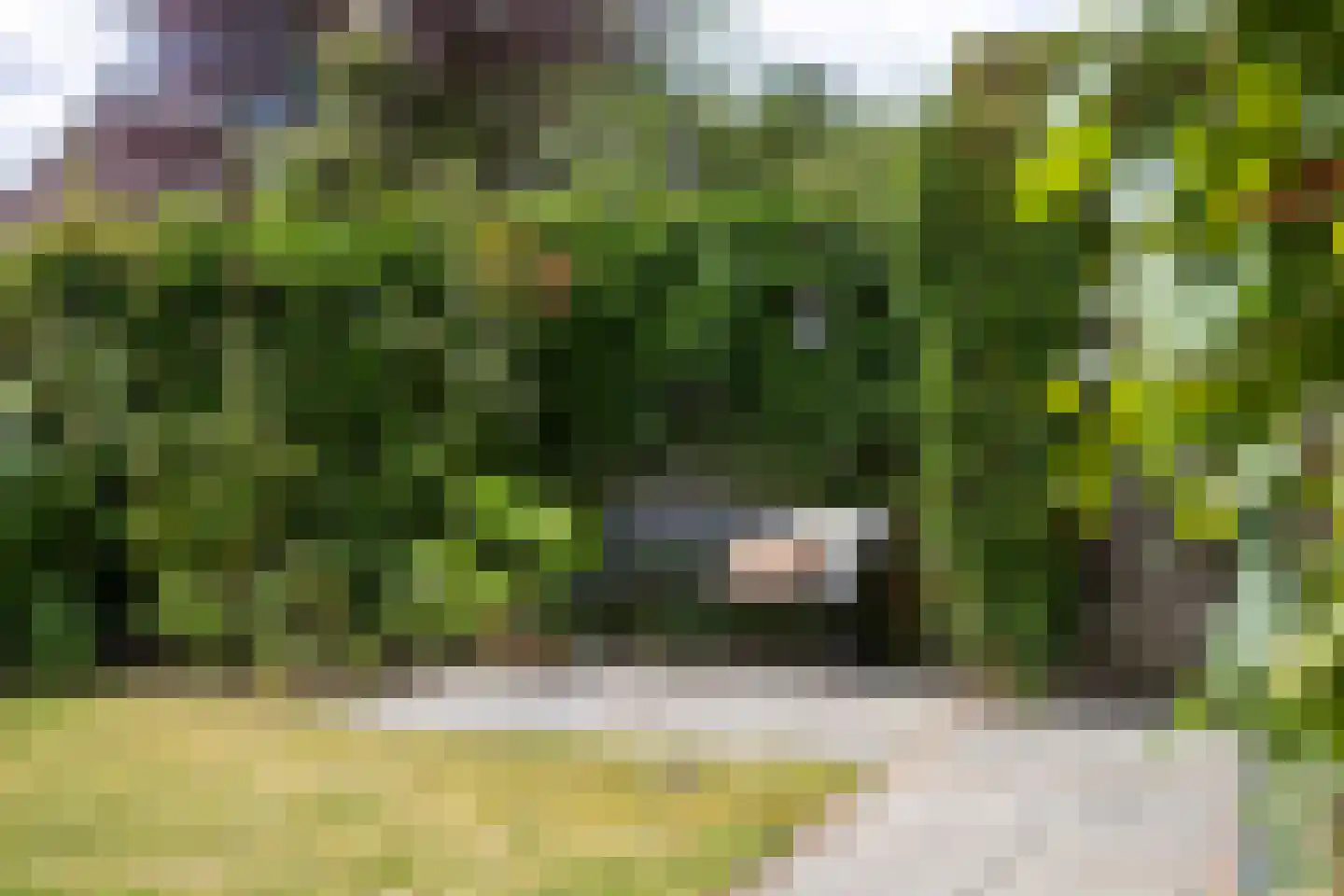Havingastate 23 Leeuwarden thumbnail 62