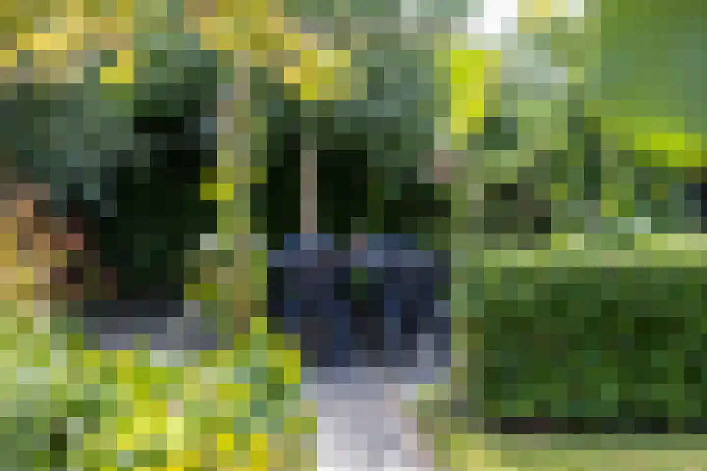 Havingastate 23 Leeuwarden thumbnail 65