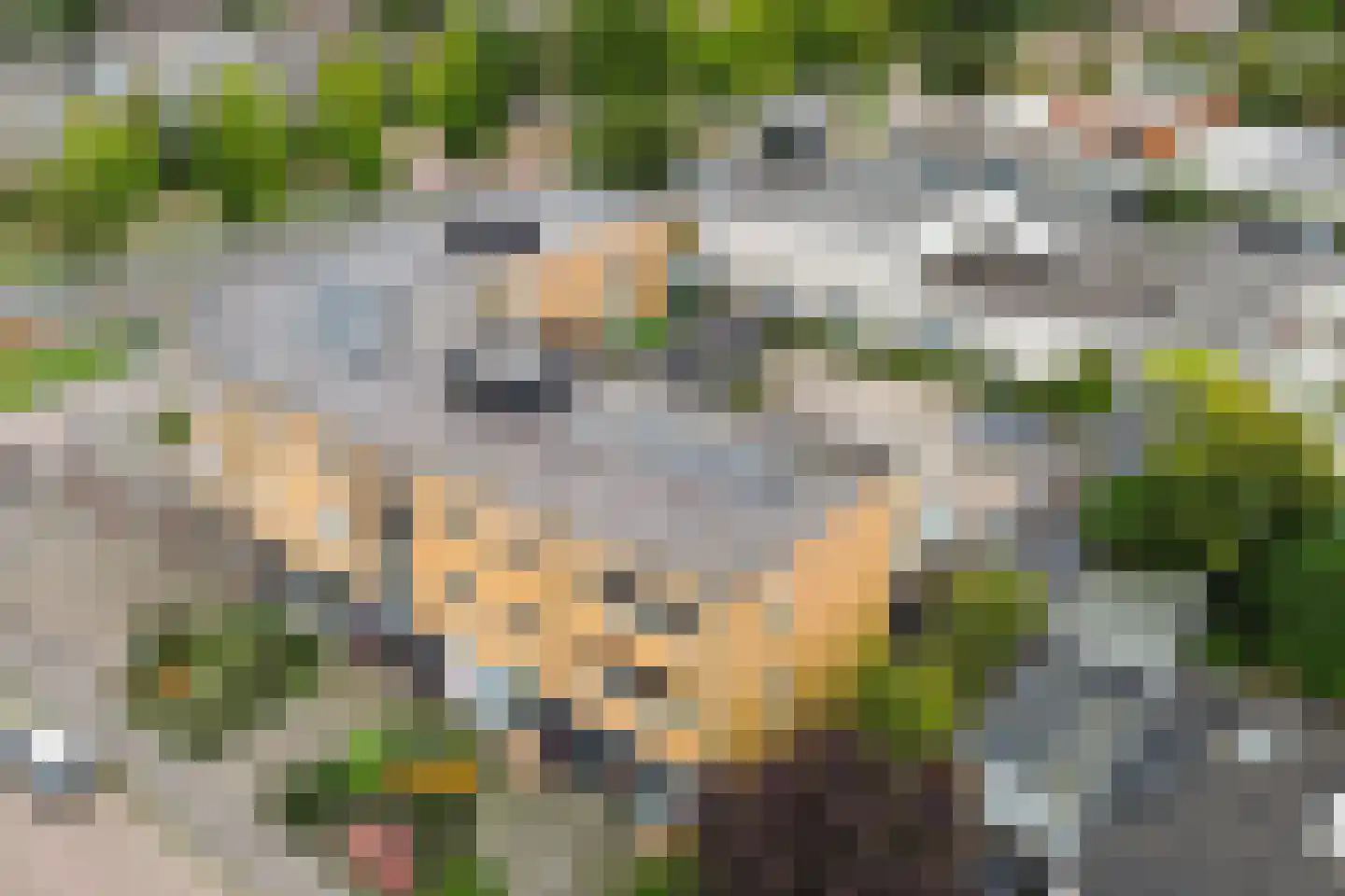 Havingastate 9 c Leeuwarden thumbnail 29