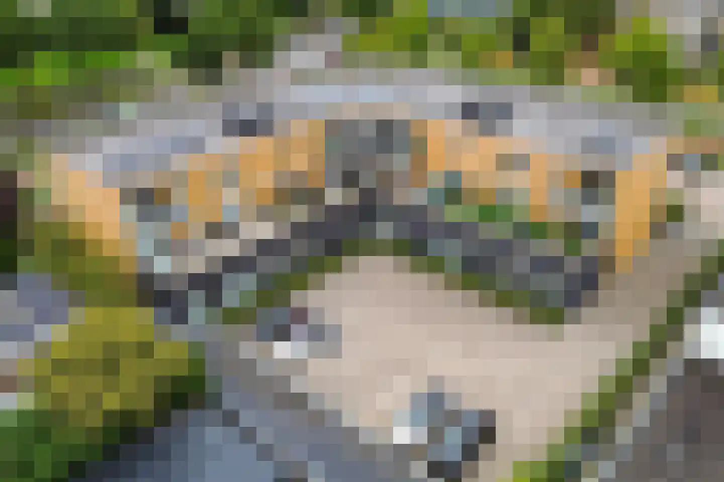 Havingastate 9 c Leeuwarden thumbnail 30