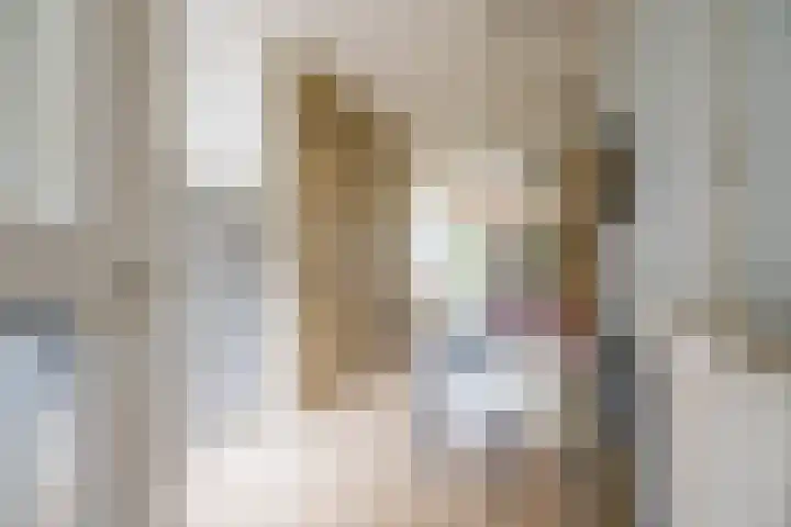 Havixhorst 10 Zuidlaren thumbnail 10