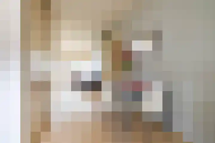 Havixhorst 10 Zuidlaren thumbnail 11