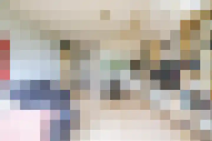 Havixhorst 10 Zuidlaren thumbnail 13