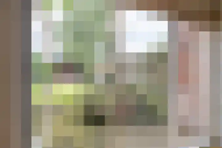 Havixhorst 10 Zuidlaren thumbnail 17