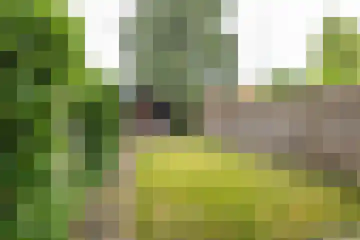 Havixhorst 10 Zuidlaren thumbnail 19