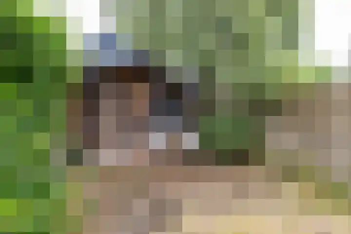 Havixhorst 10 Zuidlaren thumbnail 20