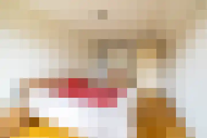 Havixhorst 10 Zuidlaren thumbnail 28