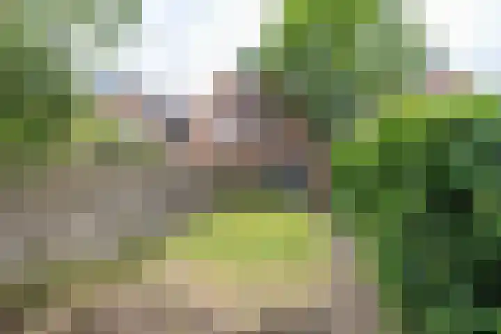 Havixhorst 10 Zuidlaren thumbnail 4
