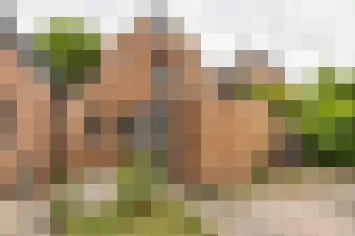 Havixhorst 10 Zuidlaren thumbnail 7