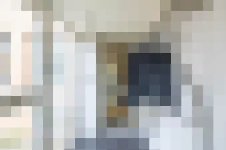 Havixhorst 10 Zuidlaren thumbnail 9