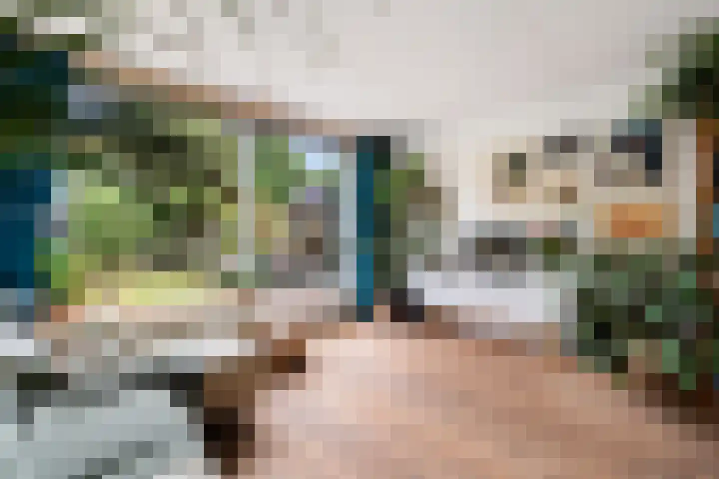 Havixhorst 110 Alphen aan den Rijn thumbnail 15